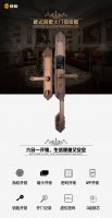 慧聪HC-01别墅大门指纹密码锁