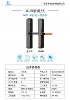 国青智能锁半自动一握开Q021