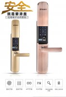 金点原子滑盖指纹锁6316