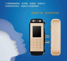 Face door 人脸识别玻璃门锁 FD-09