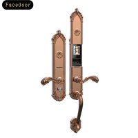Face door人脸识别别墅锁 FD-07