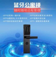 安盾Z1公寓民宿专用智能锁